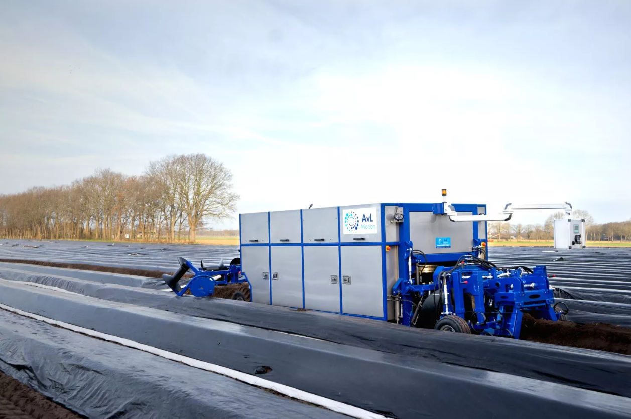 hydraulische asperge-oogstrobot automatiseert asperge teelt